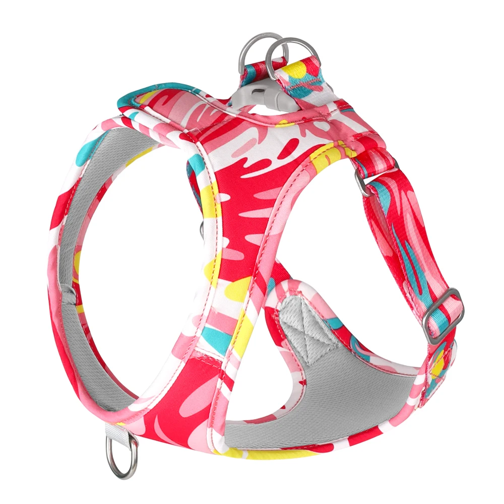 Arnés de pana verde personalizado para perros pequeños y grandes, conjunto de Collar y correa para perros, suave y ajustable, regalo para cachorros