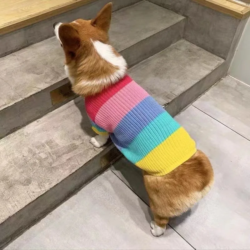 Suéter de invierno para perros de arcoíris, ropa cálida, Bulldogs franceses, disfraz de Navidad, Mascotas tejidas, ropa de diseñador para perros, perro salchicha - imagen 3