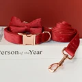 Bow Collar Leash