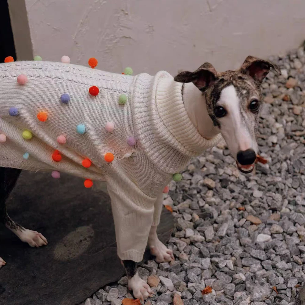 Ropa para perros: galgo italiano, whippet y saluki, sueter de invierno - imagen 3