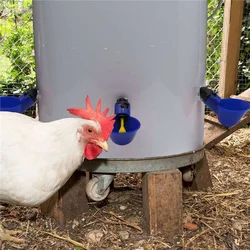 Bebedero automático con tetina para gallinas y pollos