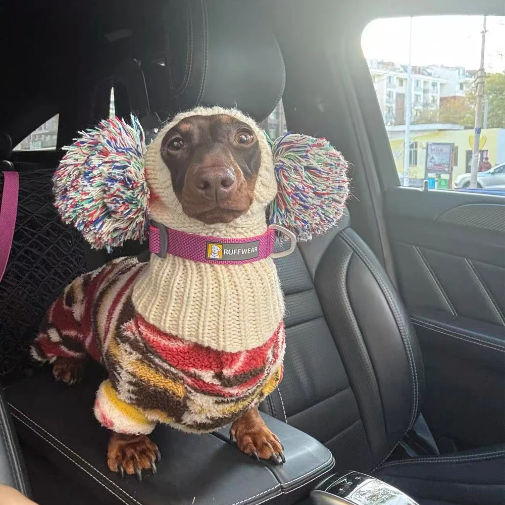 Suéter de cachemira con gorro para Dachshund – Jersey térmico para perro salchicha - imagen 2
