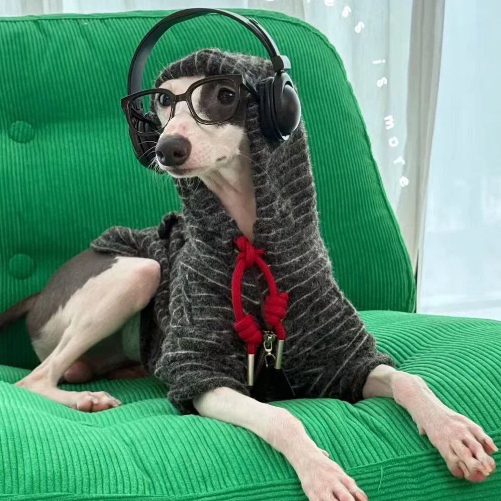 Sudadera con capucha a rayas para galgo italiano, abrigo cálido de otoño e invierno, disfraz de manga larga para perros pequeños Whippet