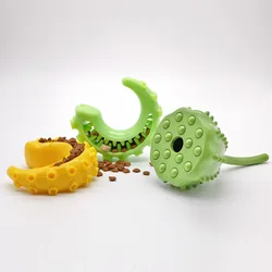 Bola dispensadora de golosinas para perros - Juguete dental resistente