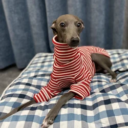 Jersey de rayas para Galgo Italiano – Cuello alto acolchado de invierno