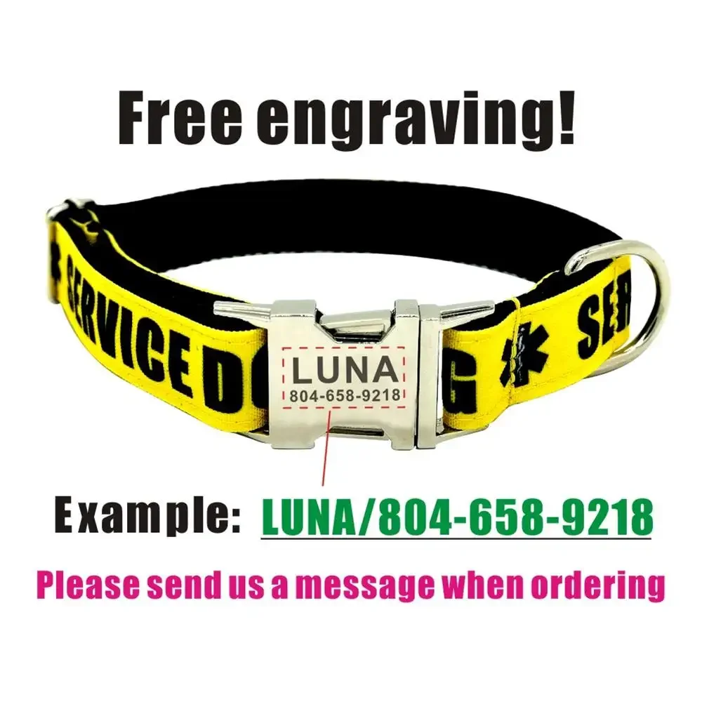 Collar personalizado para mascotas, correa ajustable con grabado gratuito, etiqueta de identificación con nombre de cachorro y gato, servicio básico, 3 colores - imagen 4