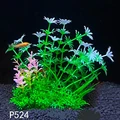 P524