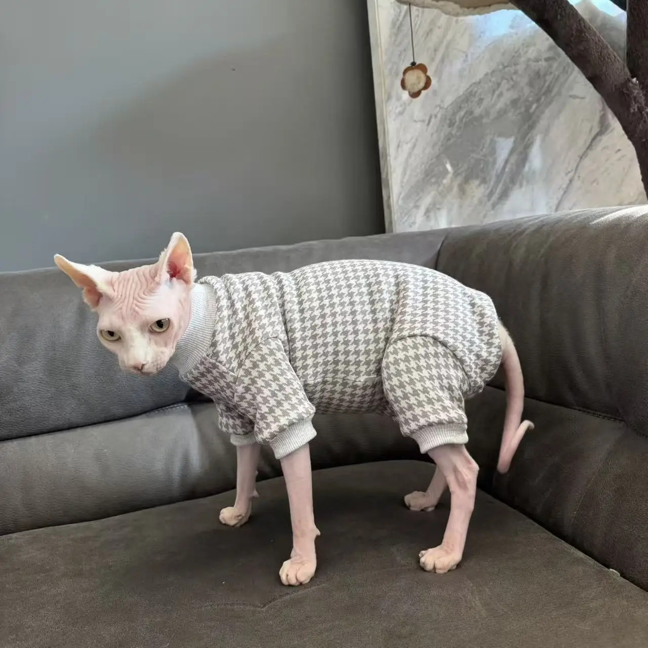 Sudadera polar con gorro para gatos Sphynx y Devon Rex – cálida - imagen 3