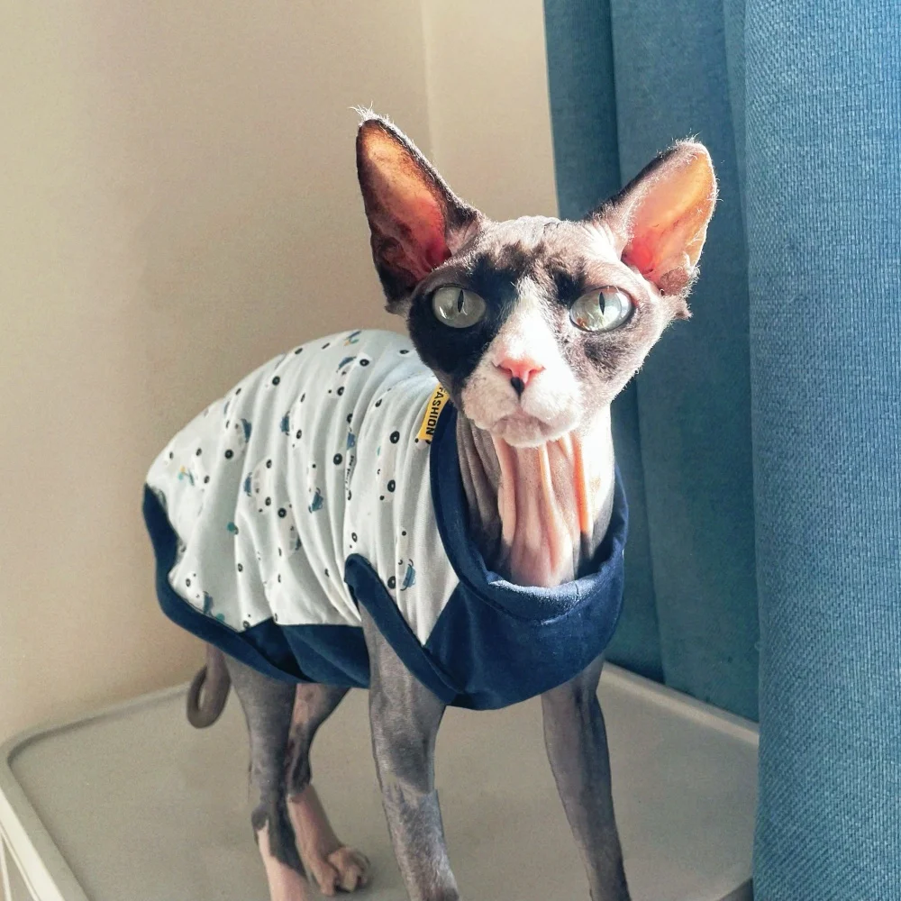 Camiseta de algodón de dibujos animados para Sphinx en primavera Mono azul de manga corta para Devon Rex Chaleco de verano suave para perros gato machos - imagen 2
