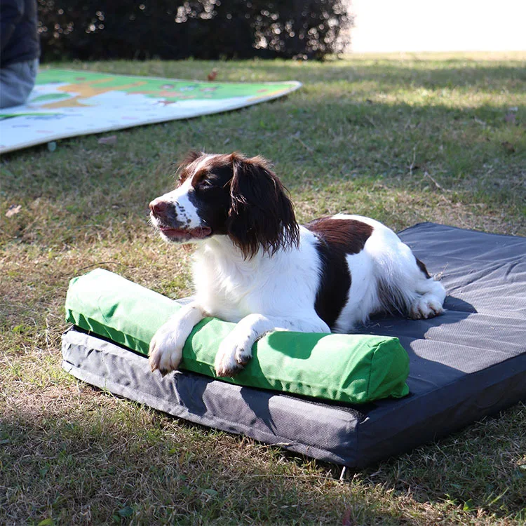 Cama camping para perros – Impermeable, desmontable y lavable - imagen 4