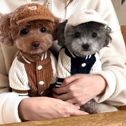 Abrigo invierno perros pequeños salchicha Yorkie gatos jersey béisbol