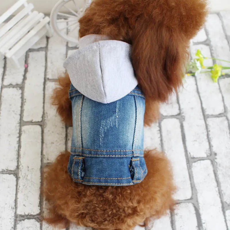 Chaqueta con capucha para mascotas, pantalones vaqueros para perros, ropa para perros de primavera, camisa vaquera fresca a la moda, chaleco para cachorros, abrigo vaquero para gatos para perros pequeños y medianos - imagen 2