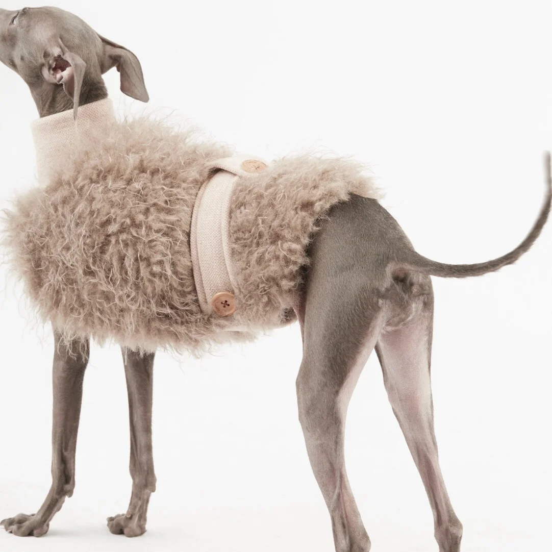 Elegante y cálida chaqueta de capa de felpa para perros en invierno, suéter caqui suave para galgo italiano, abrigo con cintura ajustable para Whippet - imagen 5