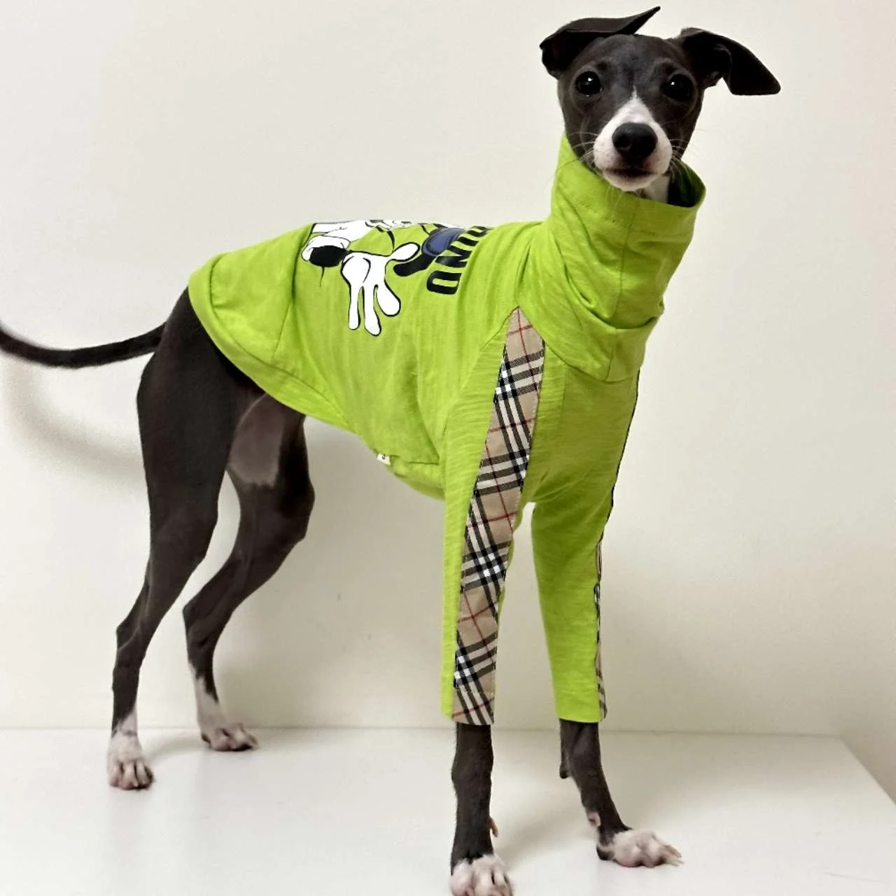 Camiseta de algodón de galgo a la moda, chaleco transpirable de dibujos animados para perros verdes, jersey para mascotas para perros pequeños, medianos y grandes, otoño y primavera