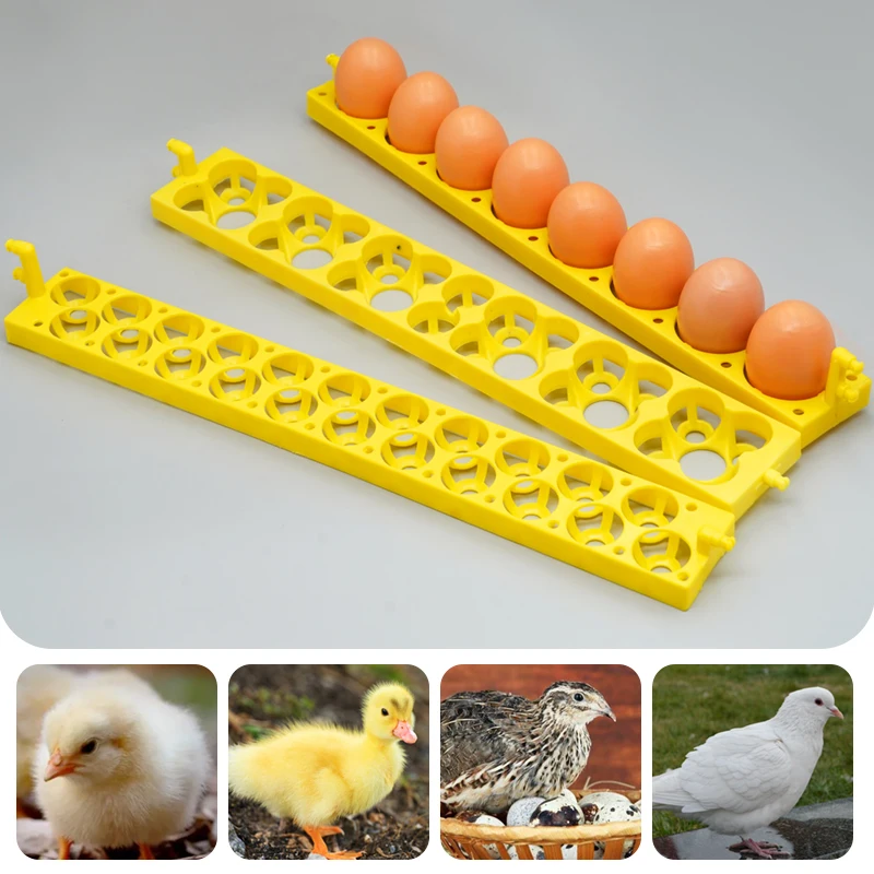 Incubadora automática de 8/22/32 agujeros, bandeja para huevos, soporte para incubadora de huevos de gallina para pato, aves de corral, ganso, pájaros, piezas de repuesto - imagen 5