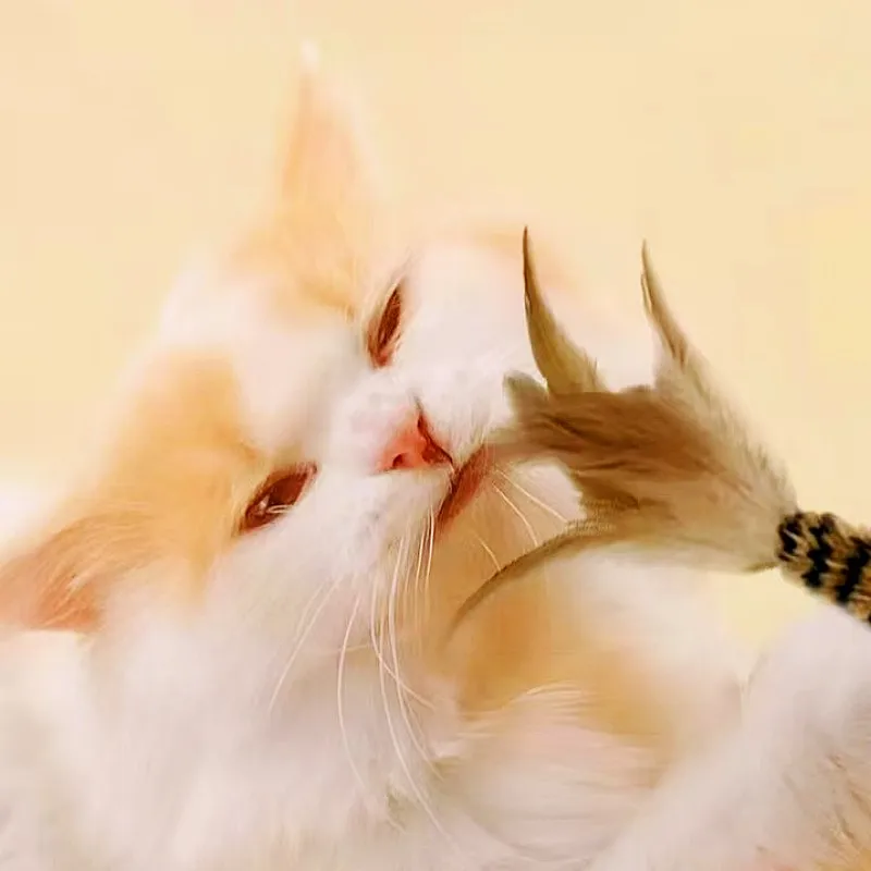 Juguete para gatos con plumas, palos de rompecabezas para gatos, juguetes interactivos de lana para gatos, cuerda resistente a mordeduras, juguetes para gatos con campana, productos para mascotas - imagen 4