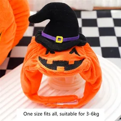 Disfraz calabaza Halloween para perros y gatos