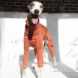 Mono de algodón naranja para galgo y whippet - abrigo para perros