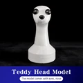 Head model