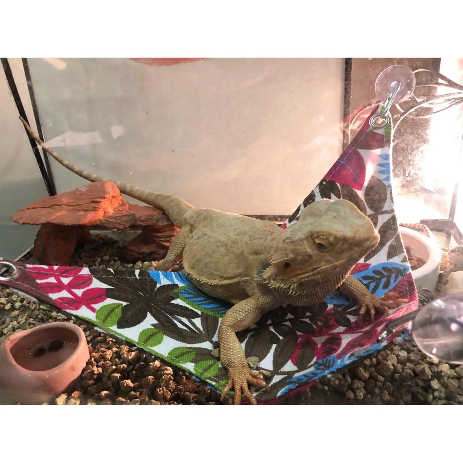 Reptile Hammocks Hammock Bearded Dragon Triangular Hanging Net for Large Reptile Hammocks Hammock Bearded Dragon Triangular Hanging Net for Large