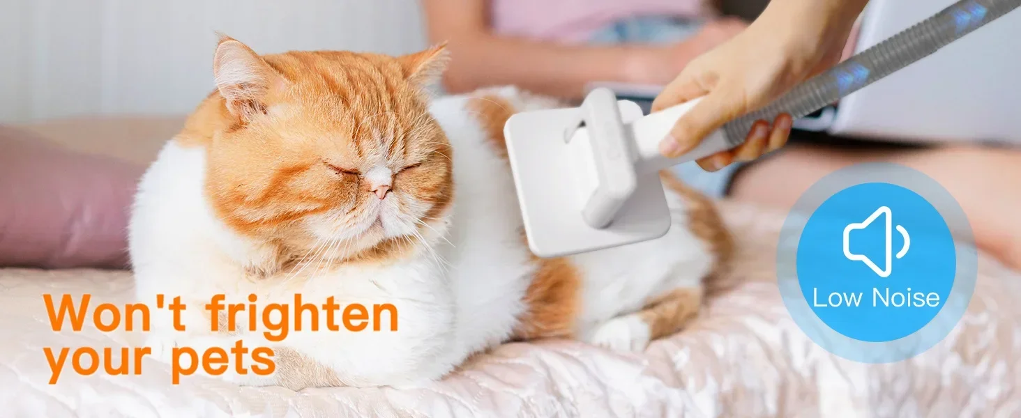 Mascota recibiendo grooming con el kit