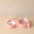 Pink Double Bowl