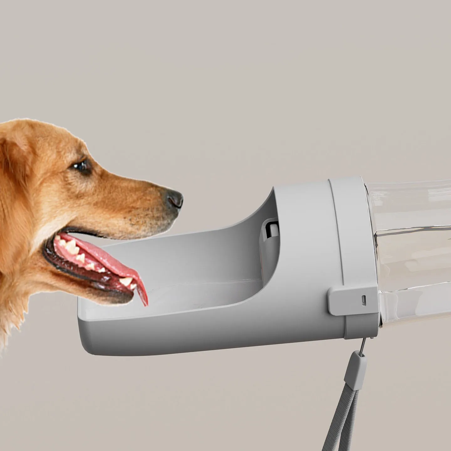 Bebedero portátil para perros de agua: botella y cuenco de viaje - imagen 4