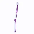 Purple 360