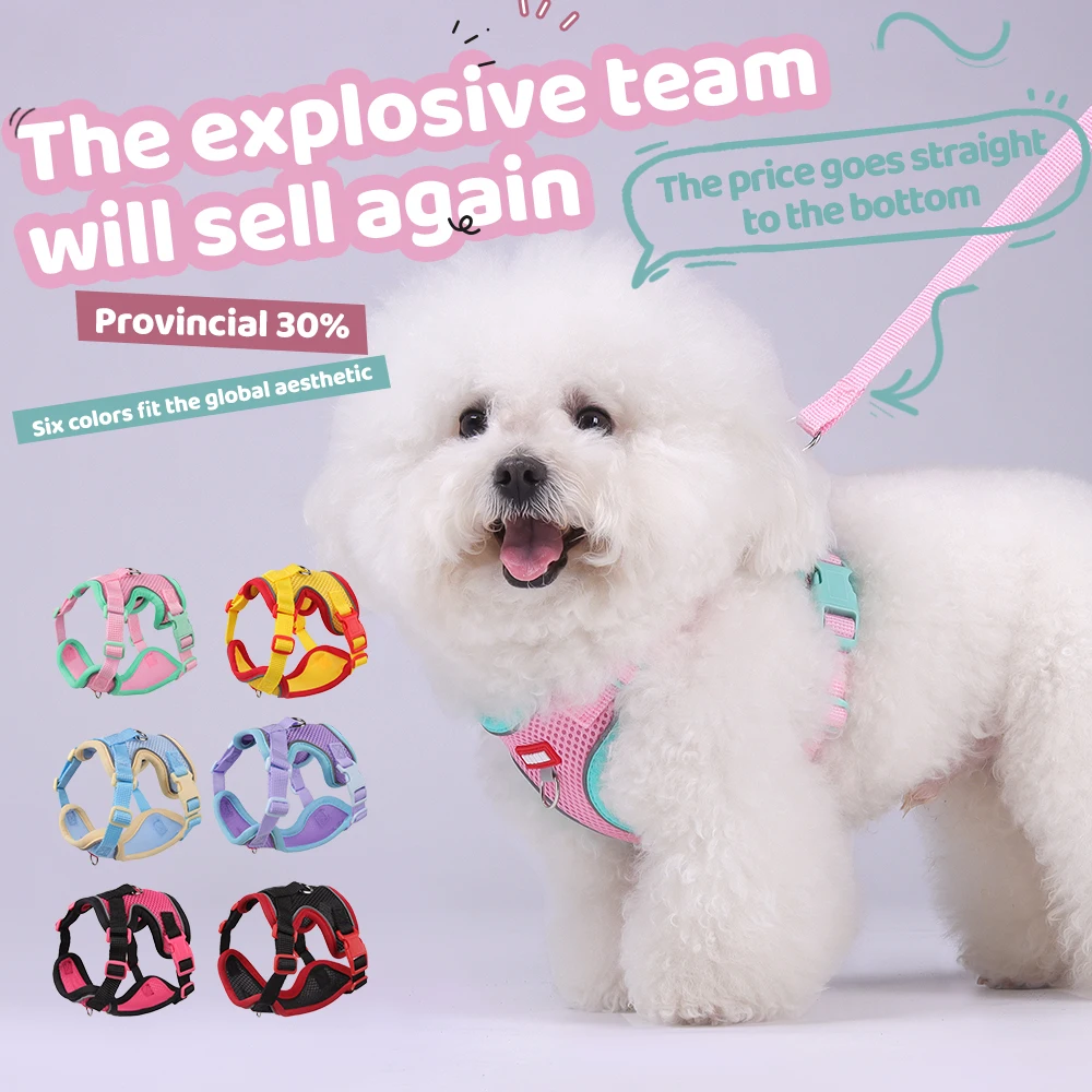 Conjunto de arnés y correa para mascotas a la moda para perros pequeños, chaleco transpirable de verano para cachorros, arneses Pinscher Chihuahua mascotas, suministros - imagen 3