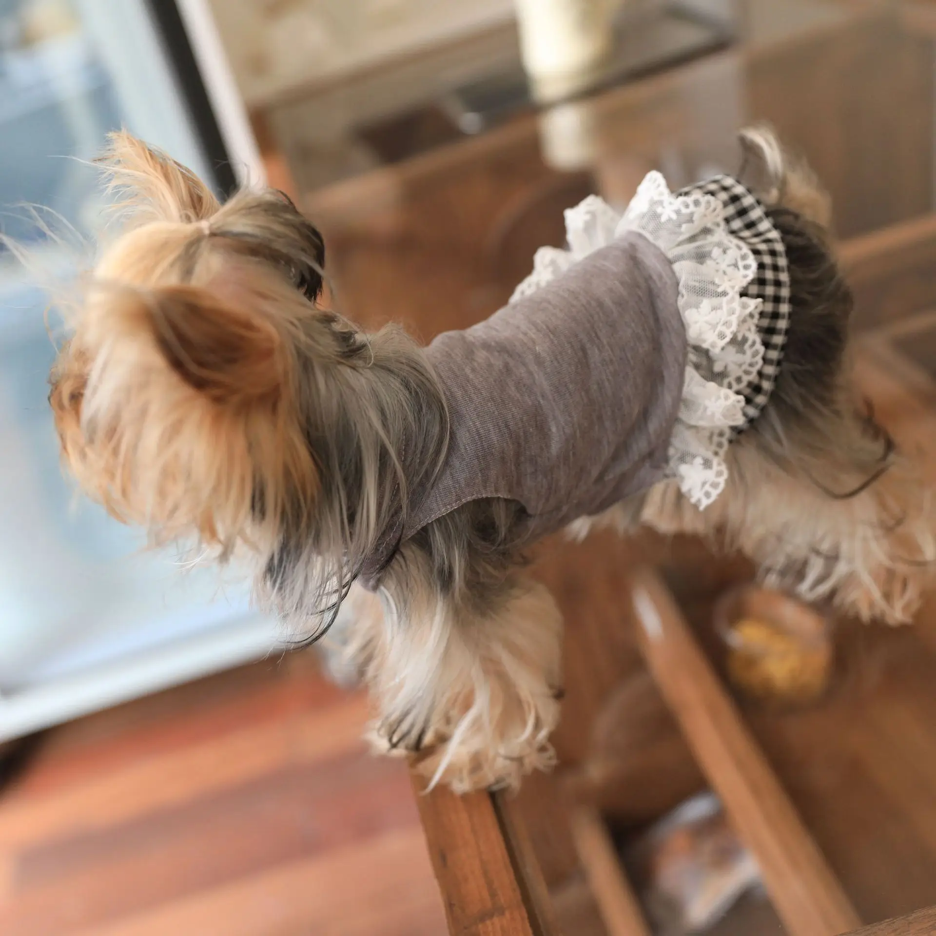 Camisa básica de Color sólido para mascotas, vestido de encaje a cuadros, camiseta para gato, perro de peluche, ropa para cachorros pequeños, primavera