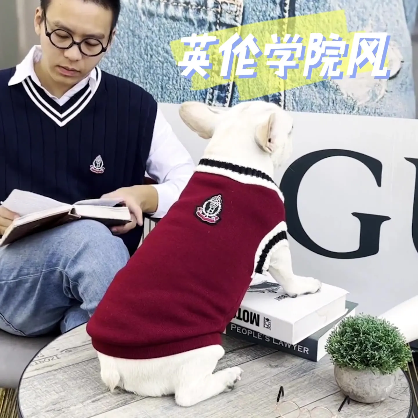 Ropa perros invierno - Uso en invierno