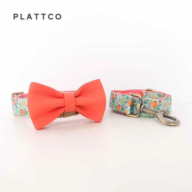 Bow Tie Collar Leash