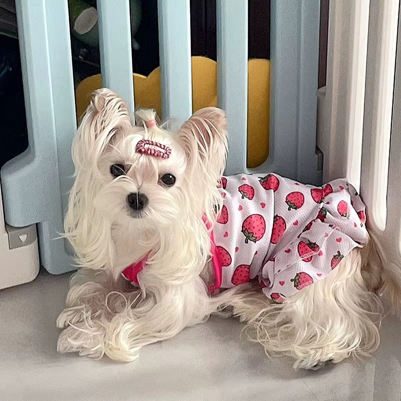 Vestido de verano para gato Sphynx – Falda princesa de plátano y fresa - imagen 2