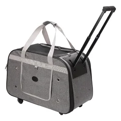 Bolsa transportadora plegable para gatos pequeños – Cómoda y portátil