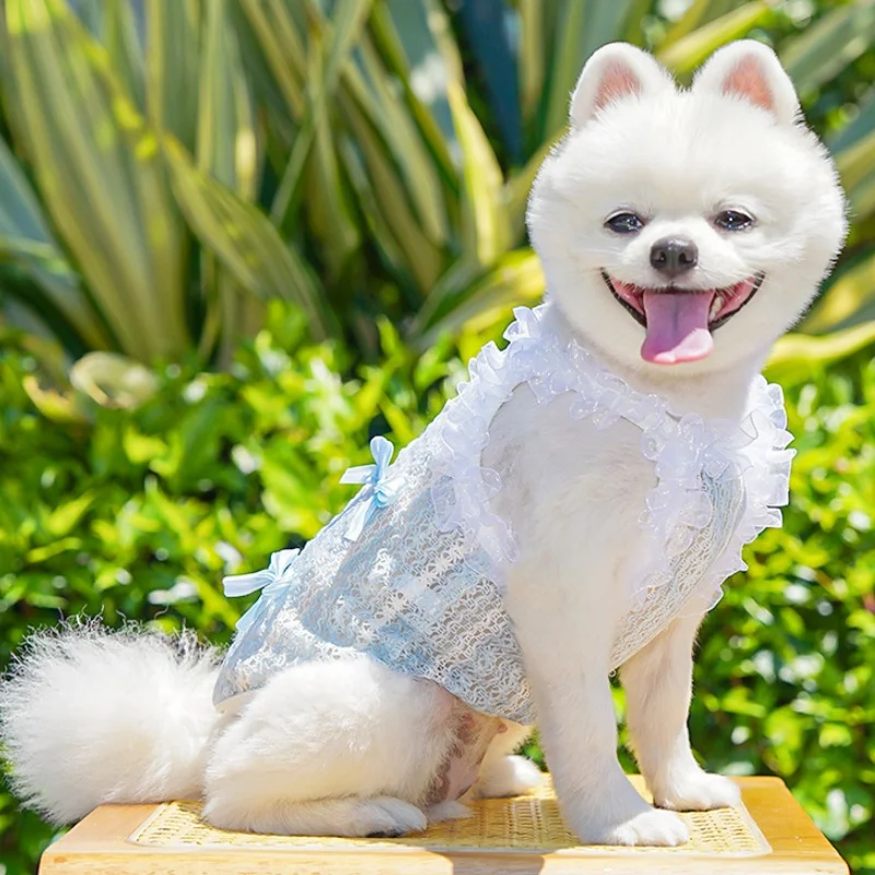 Disfraz de princesa para gatos y perros pequeños – Chaleco elegante y suave - imagen 2