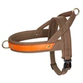 Brown Harness