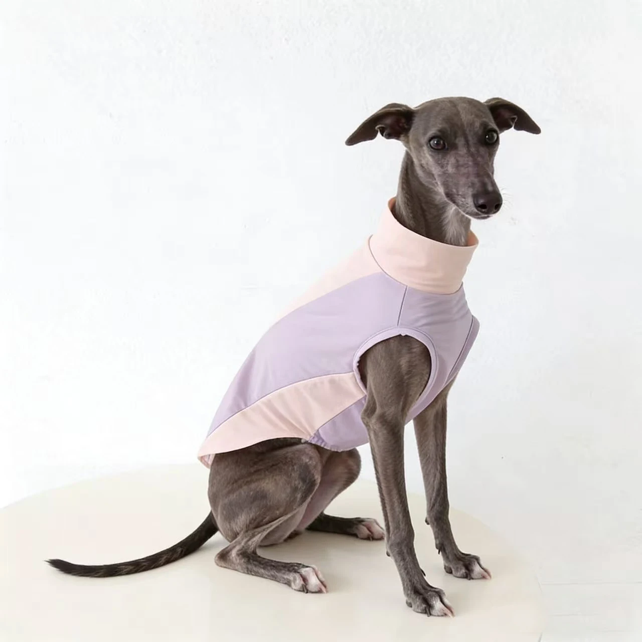 Chaleco transpirable secado rápido para Galgo Italiano y Whippet - imagen 3
