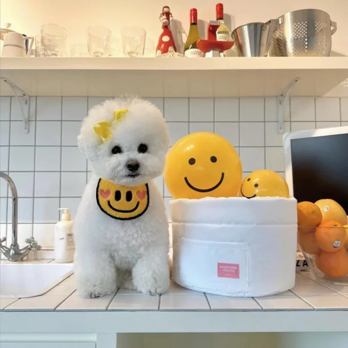 Babero de felpa para mascotas, toalla de Saliva amarilla bonita para gatos, perros y gatos, accesorios para perros pequeños - imagen 3