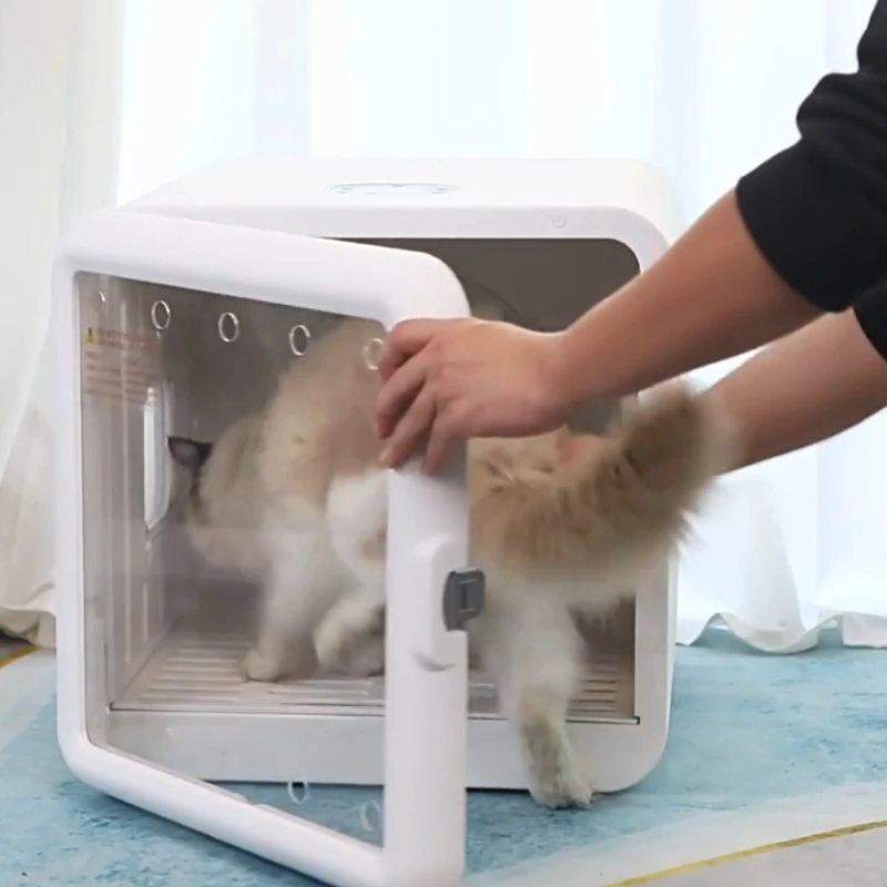 Caja de secado para tienda de mascotas, 110V, para familia de gatos, secadora para gatos, máquina de agua para perros, esterilización, secador de pelo, productos para mascotas