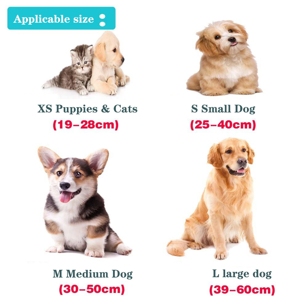 Collar de nailon personalizado para perro, placa de identificación grabada, adecuado para perros pequeños y medianos como Chihuahua o Labrador - imagen 3