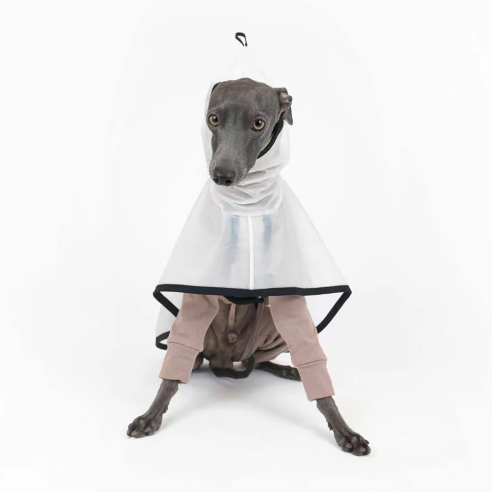 Chubasquero impermeable para perros Galgo Italiano y Whippet - imagen 4