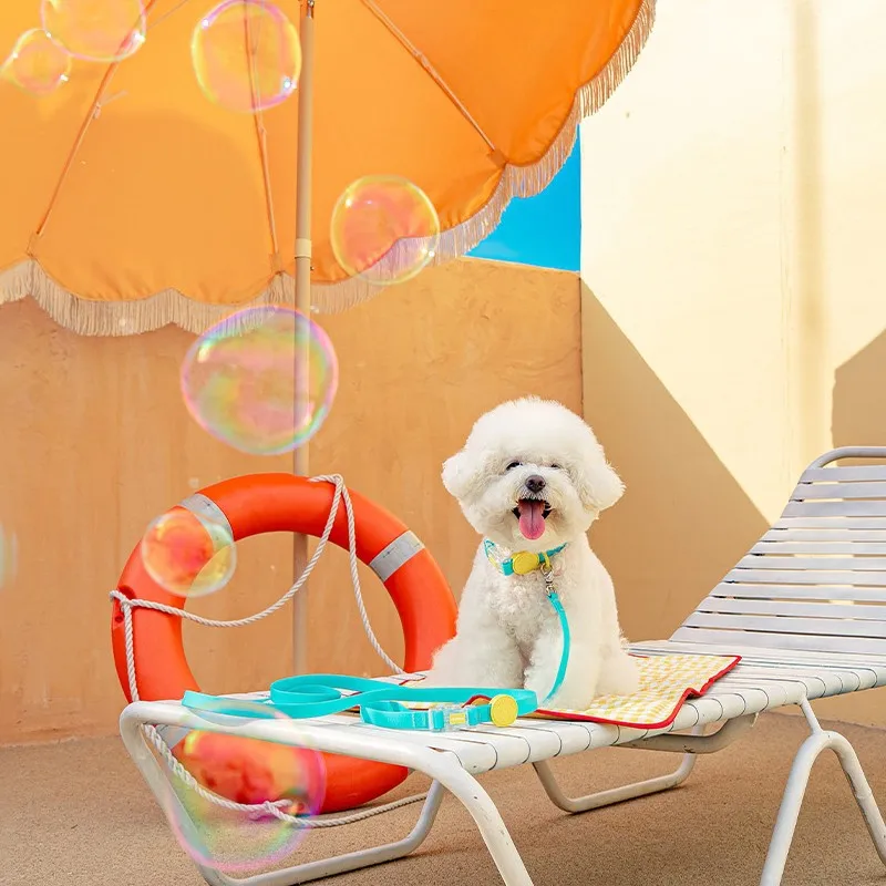 Macaron-Collar de goma de PVC impermeable para perro pequeño, correa ajustable duradera antiolor para mascotas, conjunto de Collar básico suave multicolor - imagen 5