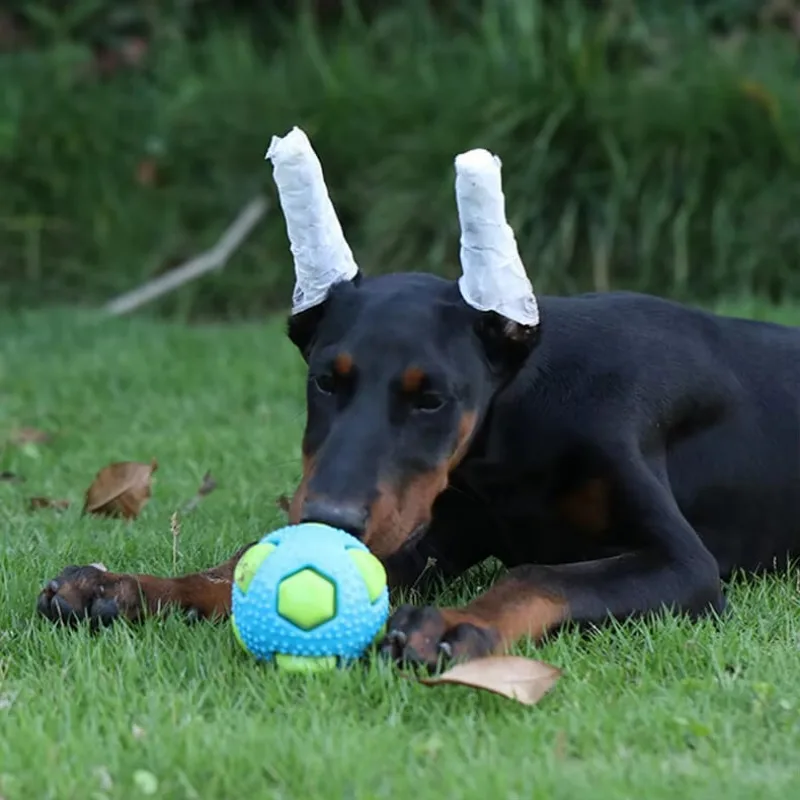 Bola de juguete TPR para mascotas, interacción de mascotas, alivia el aburrimiento, resistencia a la mordedura, perro pequeño y mediano, molienda, bola de ventilación para dormir, Flash - imagen 2