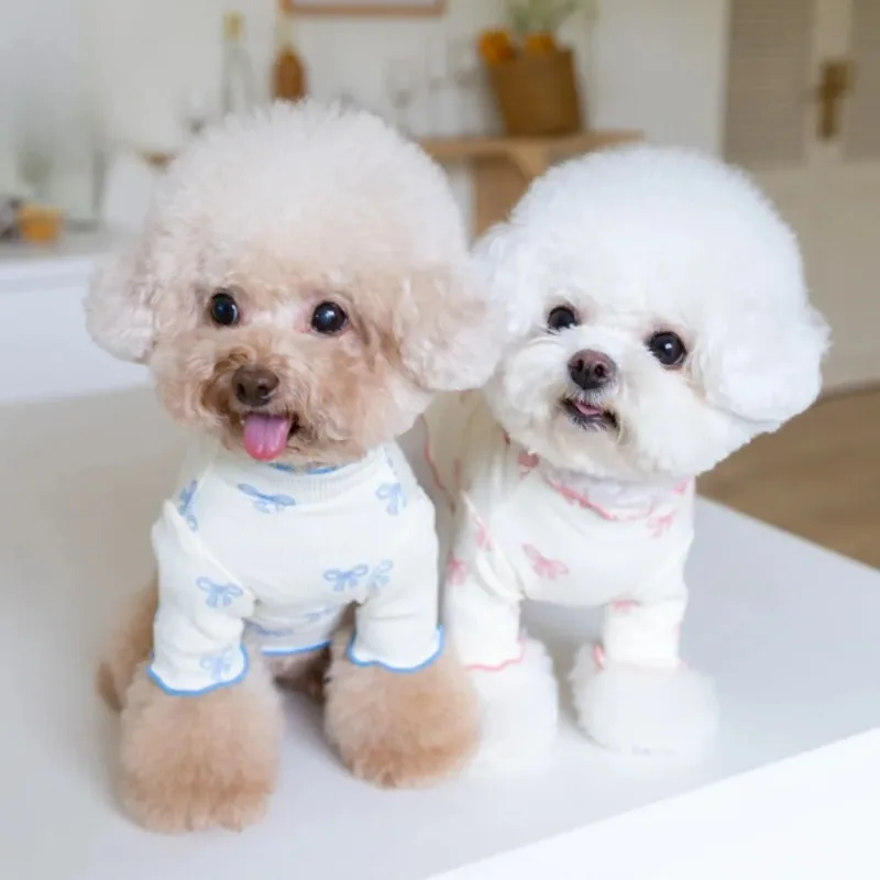 Camisa inferior de invierno con lazo para perro, abrigo con capucha para mascota, Teddy Bichon, gato, Pomerania, ropa para cachorros pequeños, suéter para perros, ropa de invierno - imagen 2