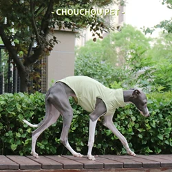 Chaleco solar UV para Whippet y galgo italiano – Protección verano