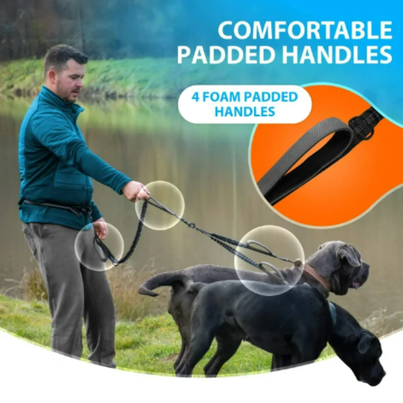 Correa doble para perros medianos/grandes, cinturón ajustable con puntadas reflectantes, Control Dual para caminar y correr - imagen 3