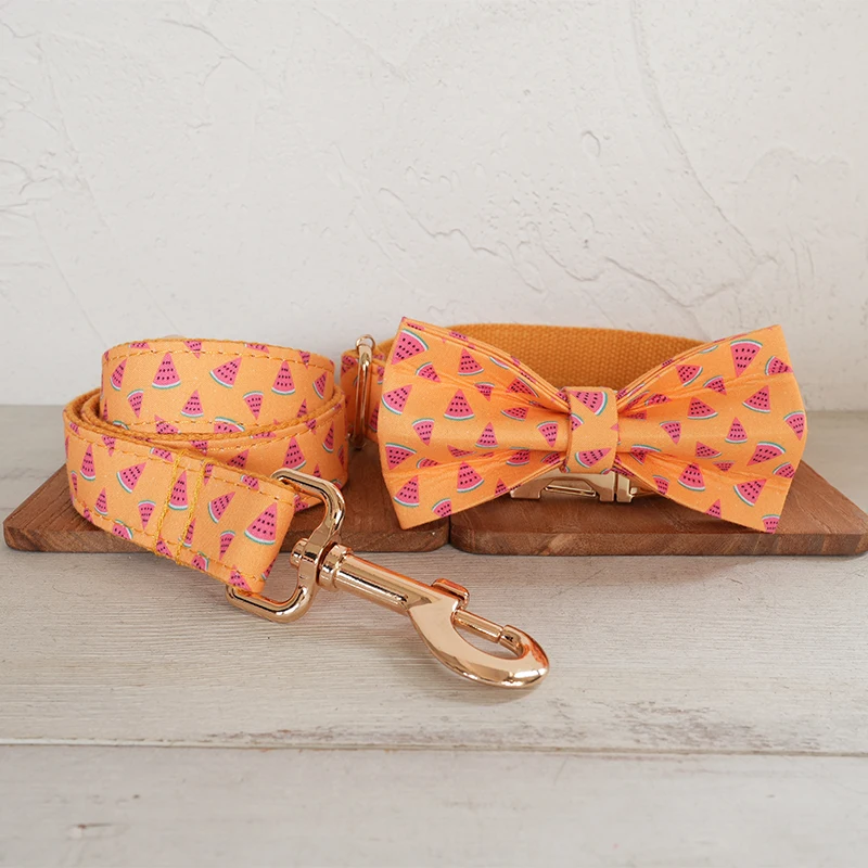 Bow Tie Collar Leash