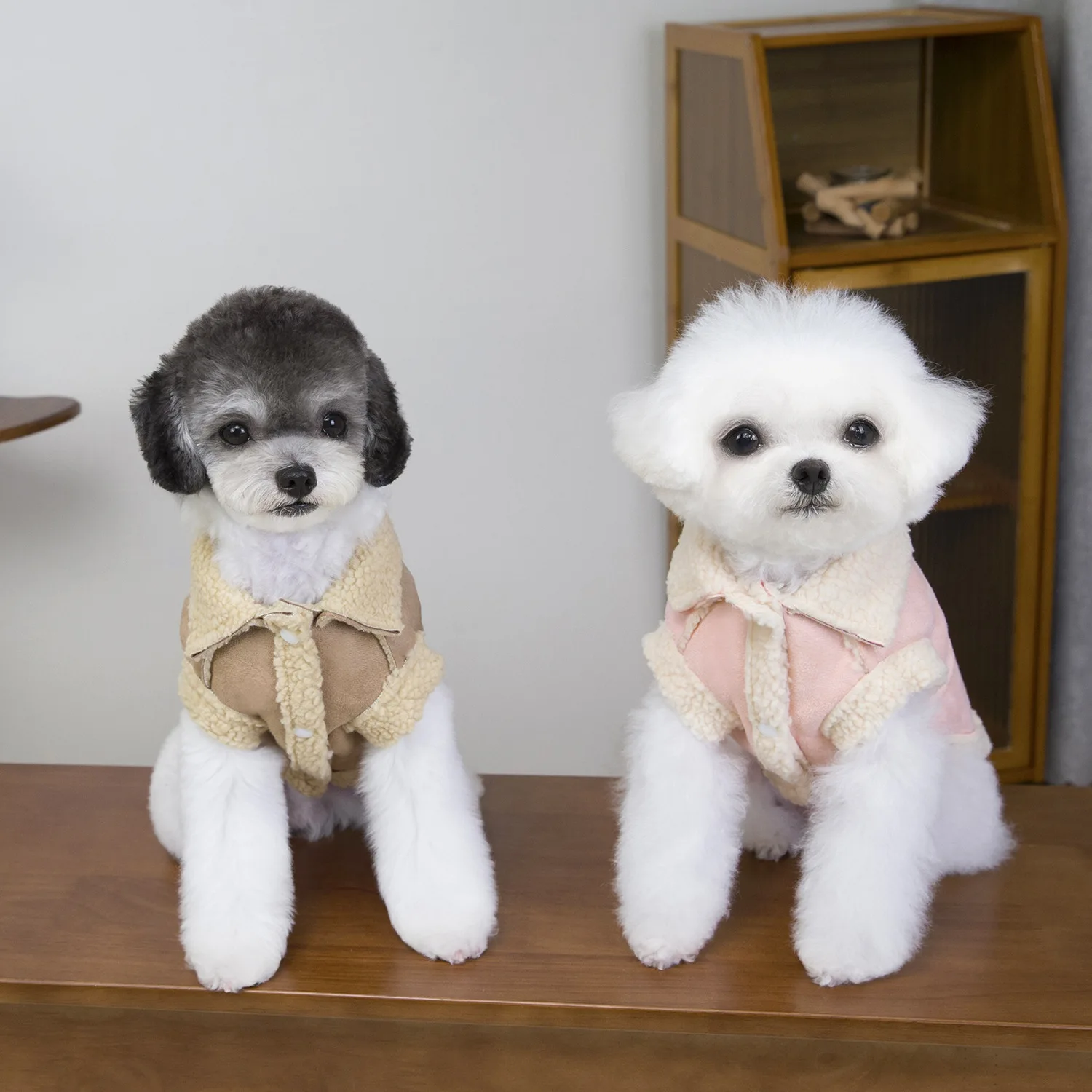 Abrigo de dos piernas para otoño/invierno para mascotas, abrigo grueso y cálido de felpa, camiseta sin mangas de forro polar para gatos, ropa para perros pequeños, ropa para cachorros - imagen 4