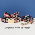 Bow Collar Leash Set