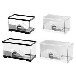 Acuario completo para tortugas con plataforma y decoración interior